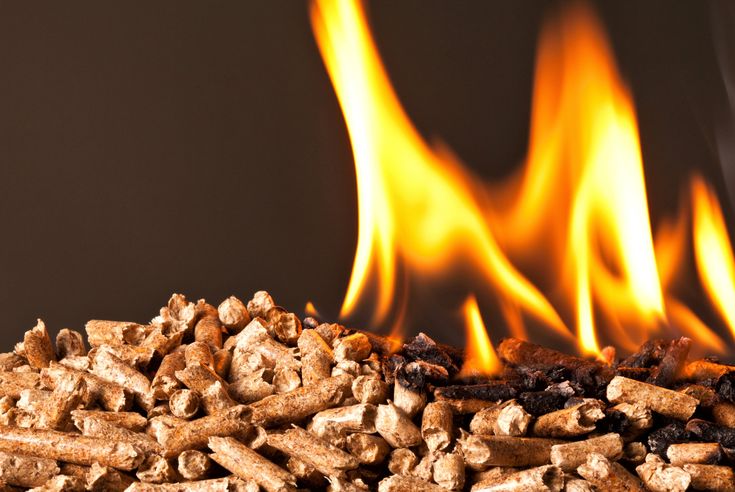 Politica di Reso - PelletCertificati